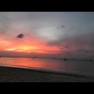 Meet your Posher, Liz